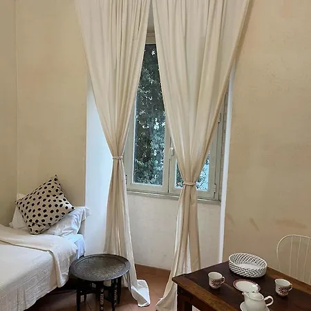 Ck Guest house